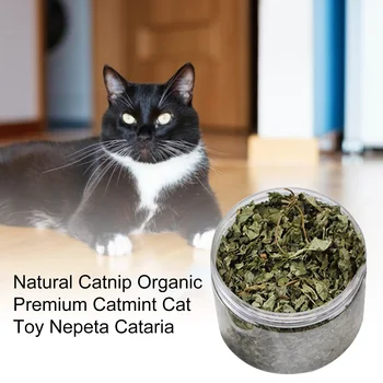 Jucarie pisica Organic Natural Premium Catnip Bovine Iarbă 40g Aroma mentolata Pisica Amuzant Jucărie Interactiv Pisica Non-toxice Dropship