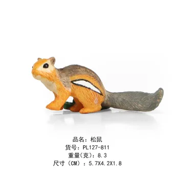 Jucarii copii, Animale de Fermă modele Realiste Groundhog Oposum Veveriță PVC Figurine de Acțiune și de Jucarie Figurine Model de Jucărie de Învățământ